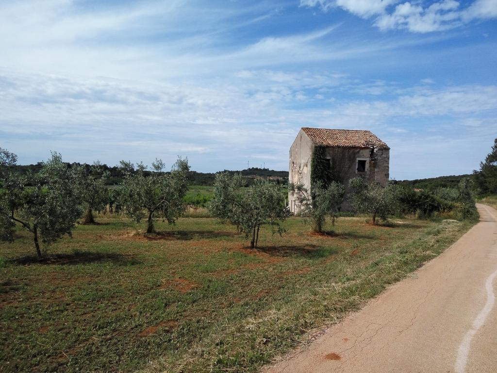 Apartment Asparagus Rovinjsko Selo Bagian luar foto