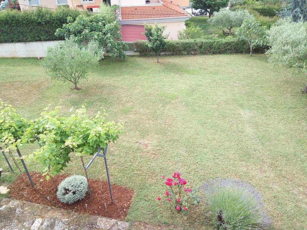 Apartment Asparagus Rovinjsko Selo Bagian luar foto